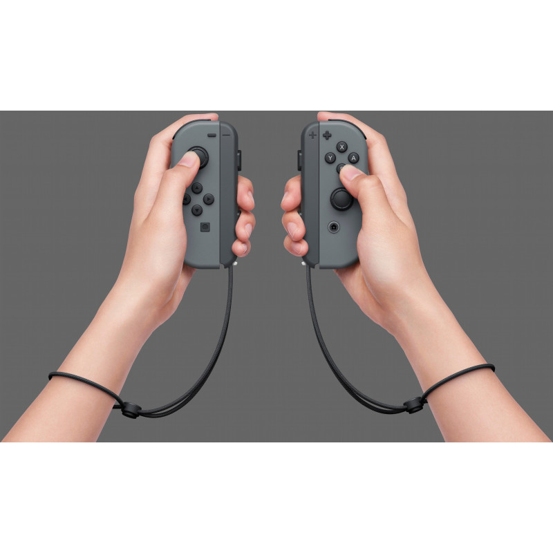Ігрова консоль Nintendo Switch Gray (4902370551198)