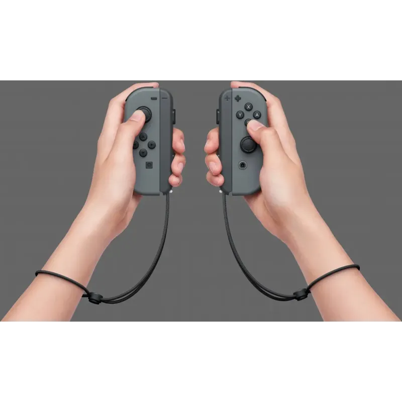 Игровая консоль Nintendo Switch Gray (4902370551198)