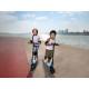 Ninebot C2 Lite AA.10.05.01.0003