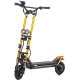 Kaabo Wolf Warrior X Pro+ Gold