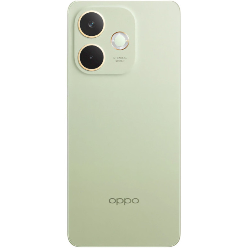 Смартфон OPPO A5 Pro 4G 8/256GB Olive Green (CPH2711)
