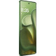 Смартфон Motorola Moto Edge 60 12/256 Shamrock (PB7H0019PL)