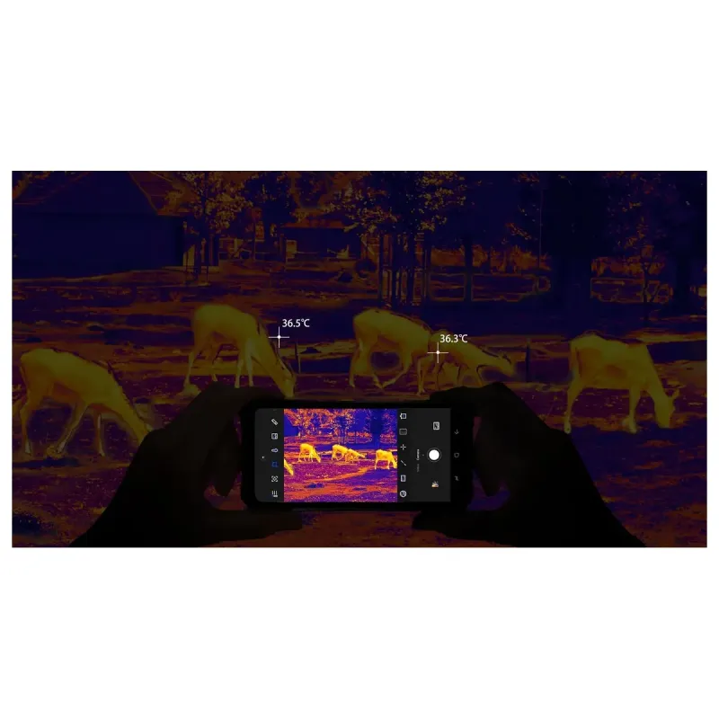Смартфон DOOGEE Fire 6 6/256GB Black (6923740234303)
