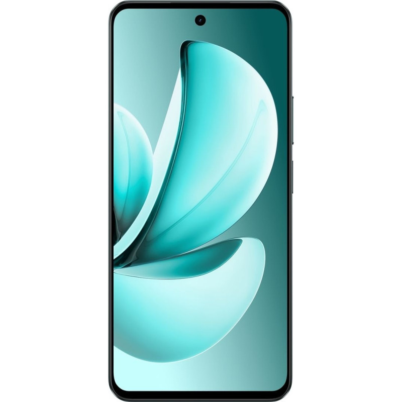 Смартфон realme C71 8/256GB Forest Owl (RMX5303)